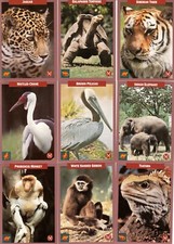ENVIRONMENTAL ACTION CARDS 1992 MUNDUS AMICUS COMPLETE BASE CARD SET OF 50 CH picture