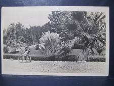 MAN WITH BICYCLE BY PALM TREES REAL PHOTO POSTCARD FLORIDA? 1910s RPPC picture