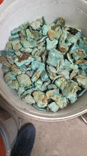 Stabilized blue-green turquoise rough (By The Pound) 1/2 Inch to 1 inch sizes   picture