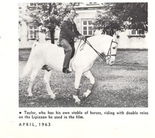 Actor Robert Taylor Rides Lippizan With Double Reins 4