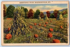1940 Madisonville Kentucky KY Postcard Greetings Pumpkin Field Farm Unposted picture
