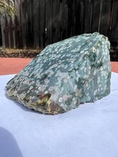 Bloodstone Orbicular Jasper XL Unpolished Rock Slab Fancy Jasper picture
