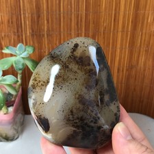 92-73-25mm Natural aquatic plants agate pretty Crystal specimens 232g A1875 picture