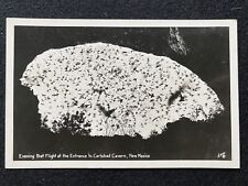 Carlsbad Cavern New Mexico NM Bats Antique RPPC Real Photo Postcard picture