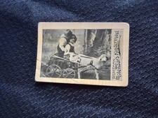 Westzaan Molenaar's Kindermeel Sheep Wagon Photocard Vintage Advertising picture