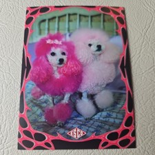 2026 ESCO Katseye WILD Trading Card #49 Poodles *GEM MINT?* *INCLUDES PROTECTOR* picture