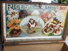 Rare Antique Rice’s Popular Flower Seeds Countertop Display Box 1890’s picture