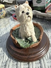 Westie West Highland Terrier In A Basket By K Sherwin picture