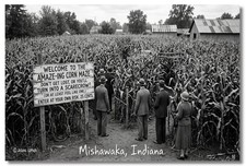 Vintage‑STYLE  ART 1930s RPPC-CORN MAZE-MISHAWAKA INDIANA-FAUX PHOTO picture
