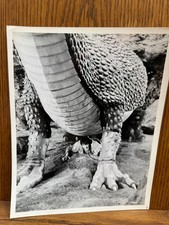 1977 Jabberwocky Movie Press Photo Black & White Vintage Cinema Memorabilia picture