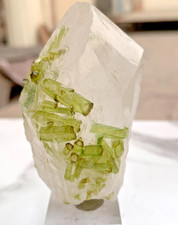 Rare Green Tourmaline Crystals on Quartz Specimen Chapu Mine Skardu Pakistan picture