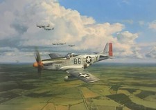 American Eagles by Robert Taylor WWII 357th Fighter Group Mustang Aces P-51 picture
