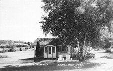 J10/ Bear Lake Michigan RPPC Postcard c1950s The Four Birches  69 picture