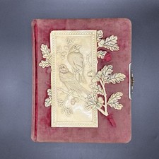 Antique 1890s Wisconsin Victorian Photo Album  20 Photos Tomah Baumgarten (CT) picture
