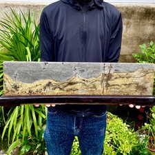 11.24LB Beautiful Natural Chinese Dendritic Limestone Picture Stone Guohua-Rare picture