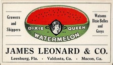 1926 ART DECO DIXIE QUEEN WATERMELON ADV. INK Blotter VG GEORGIA & FLORIDA picture