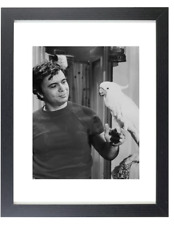 Actor Robert Blake is Baretta Classic TV Series Framed & Matted Picture Photo picture