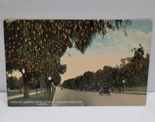 Vintage Unused Postcard, Millionaire's Row, Orange Ave, Pasadena, California  picture
