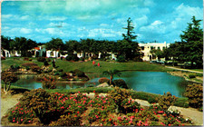 Douglas Park Wilshire & 25th Santa Monica CA Vintage p.1964 Postcard #1461 picture