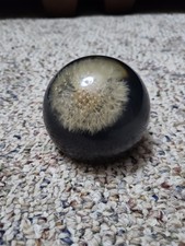 Vintage 70s Lucite Paperweight Dome Embedded Dandelion Puff Black and Clear picture