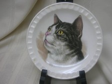 Hoffritz Porcelain Cat Plate 5