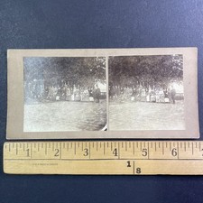 Victorian People Stereoview Card Group Portrait 1860s Flat Mount Antique picture