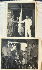 1958 Provincetown Giant Tuna Fishing Photos Lot Capt John Fields Monument Dock picture