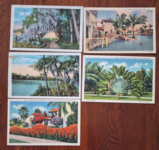 5 vintage postcards lot (early-mid 1900's); Florida FL Natural Scenes picture