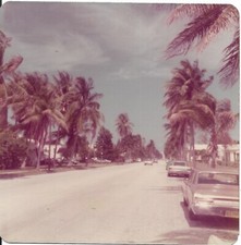 vintage color photo street scene cars Hollywood Blvd Hollywood FL Florida picture