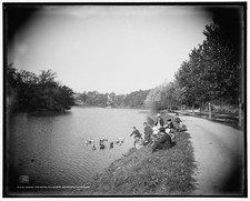 Malden Massachusetts Fellsmere Reservoir 1910s Feeding Ducks Children Park picture