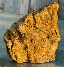 INDIAN PROFILE* 4# Fossil Burl Wood~Agatized~Rough Faced~Natural Shape~*UNIQUE picture