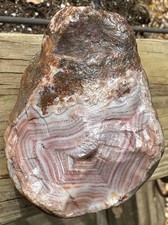 1 LB 1 Oz Lake Superior Agate Purple & Red Banding Platelets Top Museum Piece picture