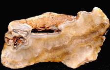 Massive 2lb 0.9oz Missouri Agate Haunted Ridge Druzy Vug Cabinet Piece picture