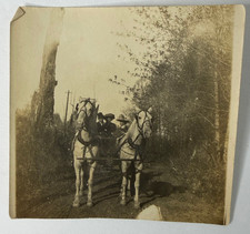 Antique Sepia Photo 1900s Horse Drawn Carriage Wagon Two Horses Edwardian picture
