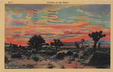 Postcard AZ: Evening on the Desert, Sunset Sky, Arizona Linen Posted 1958 picture