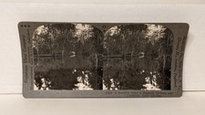 a047, Keystone Stereoview, Magnolia Gardens, Charleston, SC, 43-23482, 1930s picture