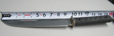 Best Sakura Japan - approx 15-1/2
