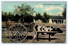1912 Rapid Transit Kentucky Cow Exhibit American Diamalt Louisville KY Postcard picture
