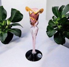 Baibab Glass 9.5