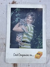 Vintage Kodak Camera Film Mid Century Tiger Cat Woman Cardboard Sign PhotoStudio picture