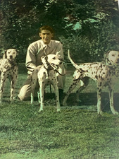 Vtg original 1943 color photo man with three dalmatian dogs portrait 5x7 pets picture