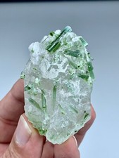 73 GM Vibrant Green Tourmaline Crystals Elegantly Embedded In A Matrix Of Quartz picture