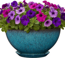 Rosie Planter Bowl, with Drainage and Saucer, 10” Indigo Speckle picture