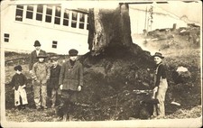Boys clearing land? RPPC real photo AZO 1904-1918 ~ MYSTIC written on back picture