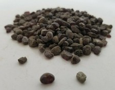Montana Garnet Gravel Quartz Crystals 4.3 ounces Raw picture
