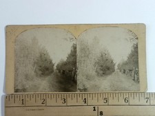 Josie Langmaid Murder Scene Stereoview C.M. Couch Concord NH 1875 True Crime picture