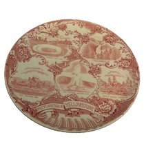 Antique Yellowstone Collectors Plate Old English Staffordshire Ware Rare z6 picture