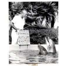c1960 Press Photo Dolphin Trainer Andre Cowan Marineland Circus NBC TJ7-2 picture