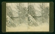a797, William Cant Stereoview, # -, Winter Scene - Snow, Boston, Mass., 1870's picture