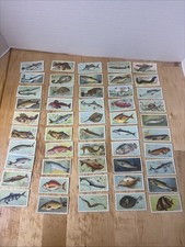 1923 IMPERIAL TABACCO CANADA “FISHS OF THE WORLD “ Cigarette Cards 50/50 picture